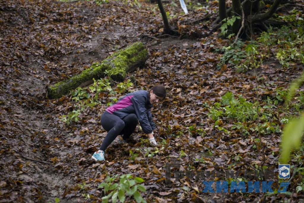 Румлёўскія сцежкі